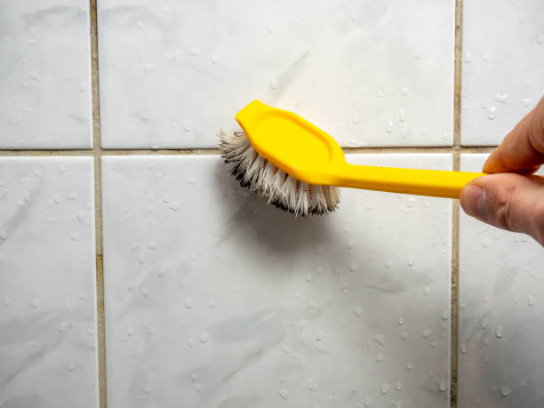 Best Attic Mold Removal  in North Bend, WA