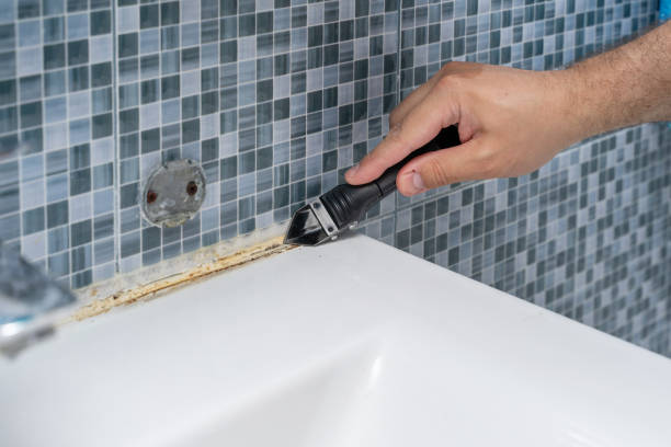 Best Mold Damage Repair  in North Bend, WA