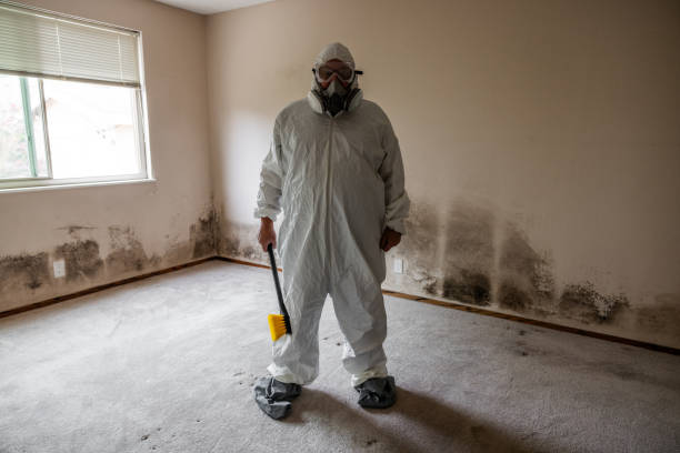 Best Commercial Mold Removal  in North Bend, WA